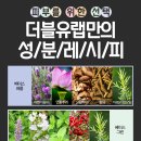 더블유(W)메이크업