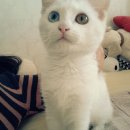 마라헌터 이미지