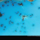 펄스트마켓 이미지