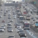 무술년 테마전 아시아의 개 연합뉴스