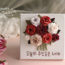 모모쥬빌레