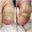 레푸스서초교대역점 이미지