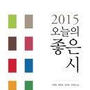 <2015 올해의 좋은 시> 이미지