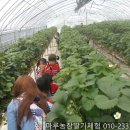 운봉초등학교병설유치원 이미지