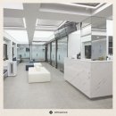 탑케어동물의료원 | 일산동물병원 고양이와 함께한 탑케어동물의료원 방문기!