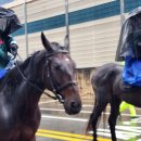 2025 정조대왕 능행차 공동재현 이미지