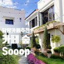 숲(sooop)