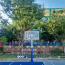 팔룡중학교 이미지