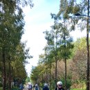 노을공원2 이미지