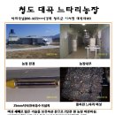 대곡농장 이미지