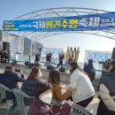 거제도국제펭귄수영축제 이미지