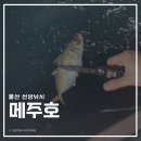 세븐일레븐 울산신항점 | [울산낚시/울산선상낚시] 메주호 타고 대전갱이, 고등어 잡으러! (+피딩타임, 조과)