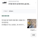 르무통 21일 챌린지 성공 후기 대방출 : 도전 시 주의할 점!