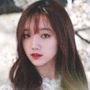 해영이네 Daum카페