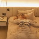 마인드닥터의원 이미지