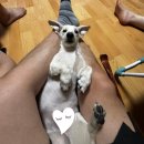 카페봄봄광주월산유 | 26년 5월