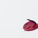 경기요양병원 | 2025 최신! 경기 요양병원 추천 완벽 가이드