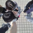 메가후르츠군산 | 카츠라 강화의 달