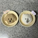 댕댕잇 | 부산 강아지 커스텀 케이크, 댕댕잇 : 개린이날 레터링 강아지 케이크 주문제작 후기