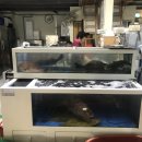 청용산월수산 이미지