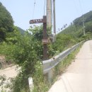 금대목장 이미지