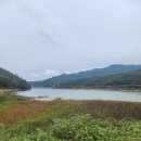 신세계행정사사무소 이미지