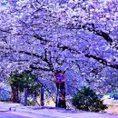 봄을담다 이미지