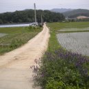 독성1리 하사 이미지