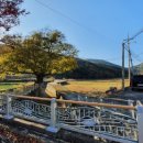 시락마을회관 이미지