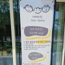 디어마망 이미지