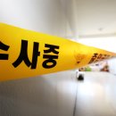 소유집 이미지