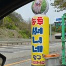 써니애견 | 🌊 대형견 미친듯이 뛰는 800평 운동장… 송추 써니네 애견마당 솔직 후기