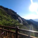 기쁨과슬픔 | 낙엽이 가득한 수락산과 인간 사회의 기쁨과 슬픔(개정)