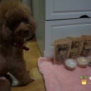 견을위해 자연을 담다 이미지