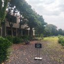 비로소433 이미지