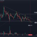 11650-16-16-1 이미지