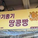 상남동209 이미지