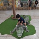 대전아쿠아리움 이미지