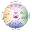 박가정의원 이미지