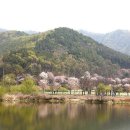 팔당물안개공원 이미지