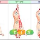신선도 이미지