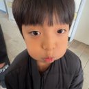 무궁화태권도 네이버블로그