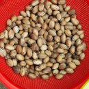 평화농장(2) 이미지