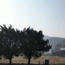 가납초현암분교장 이미지