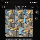 인천동물심장내과