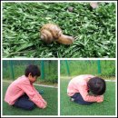 자연과아이들 이미지