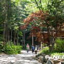 성주산자연휴양림 이미지