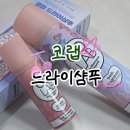 하얀광고기획 | 코랩 드라이샴푸 프레쉬 기획세트 올리브영 추천템