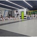 용인대국가대표태권도장 | 미래초태권도 아이의 변화를 경험한 태권도장 후기