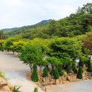 화양숲노리캠핑장 이미지